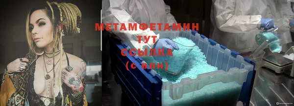 хмурый Ельня