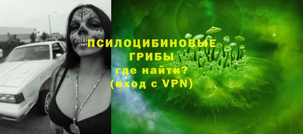 хмурый Ельня