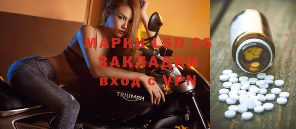 хмурый Ельня