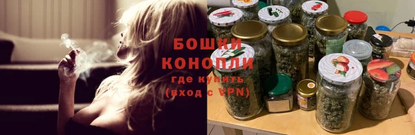 хмурый Ельня