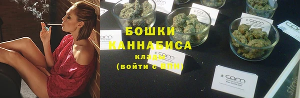хмурый Ельня