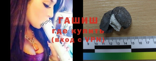мдпв Елабуга