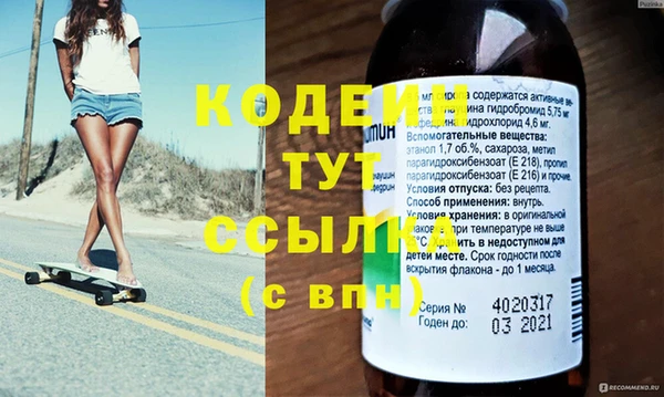 хмурый Ельня