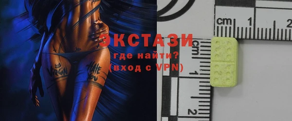 хмурый Ельня