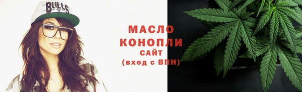 мдпв Елабуга