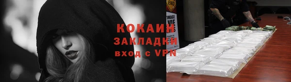 хмурый Ельня