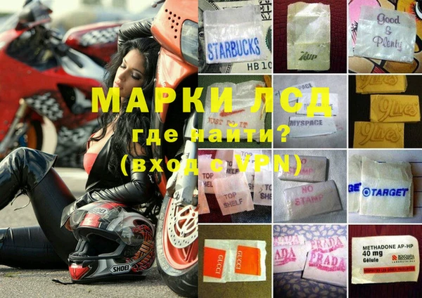 мдпв Елабуга