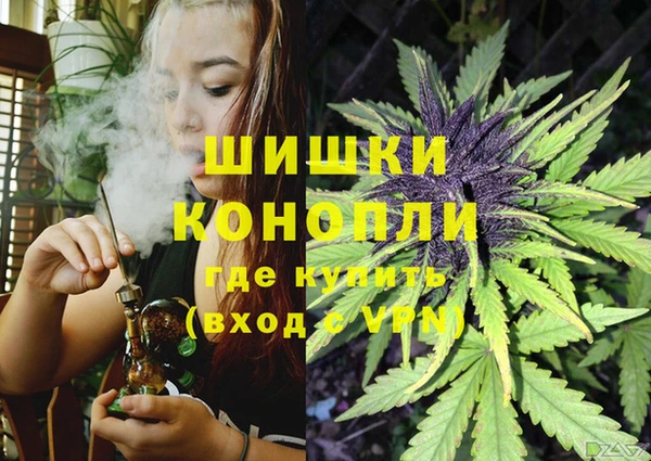 мдпв Елабуга