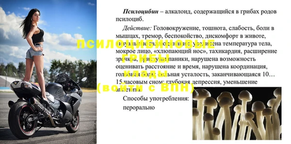 мдпв Елабуга