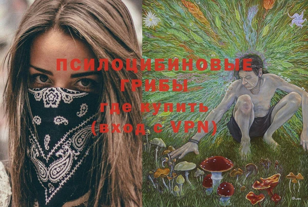 хмурый Ельня