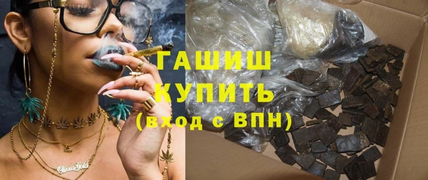 хмурый Ельня