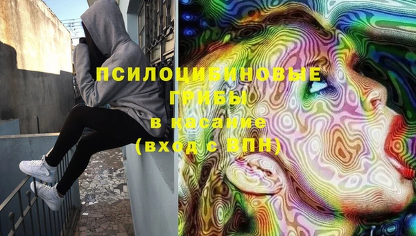 мдпв Елабуга