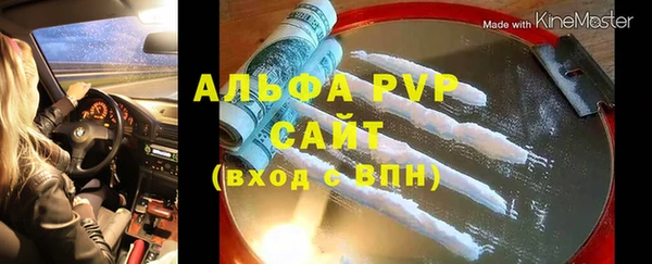 хмурый Ельня