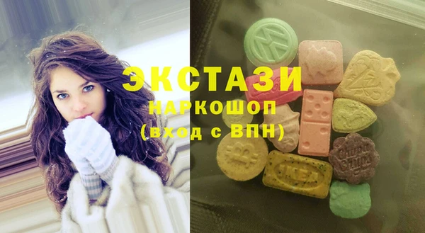 мдпв Елабуга