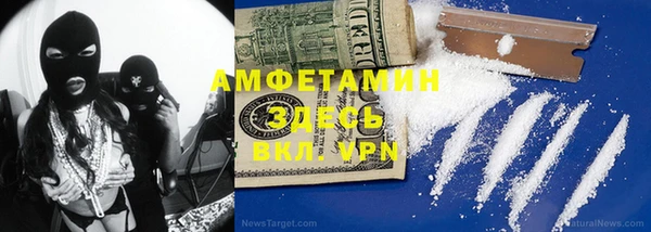 хмурый Ельня