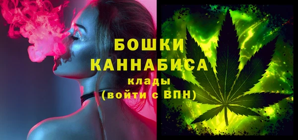 хмурый Ельня