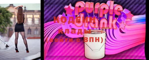 мдпв Елабуга