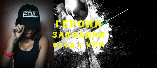 хмурый Ельня