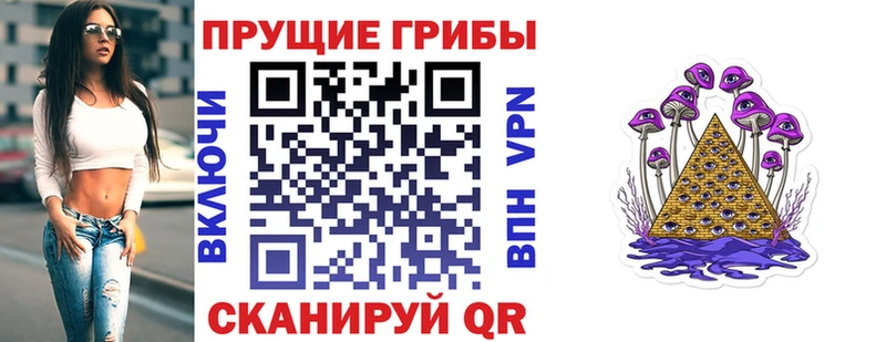 ссылка на мегу ССЫЛКА  Кондрово  Псилоцибиновые грибы прущие грибы 