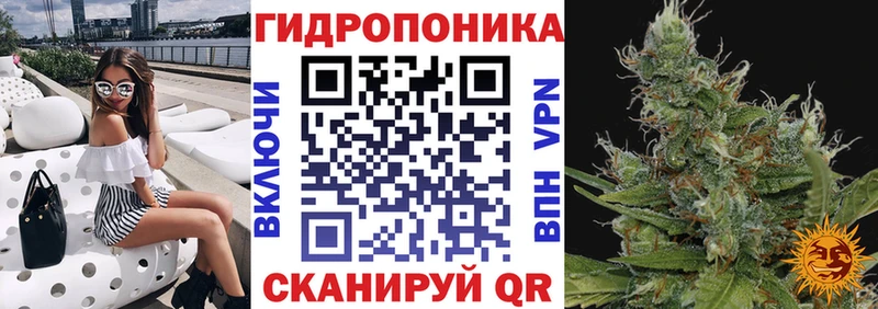 Бошки Шишки индика  Кондрово 